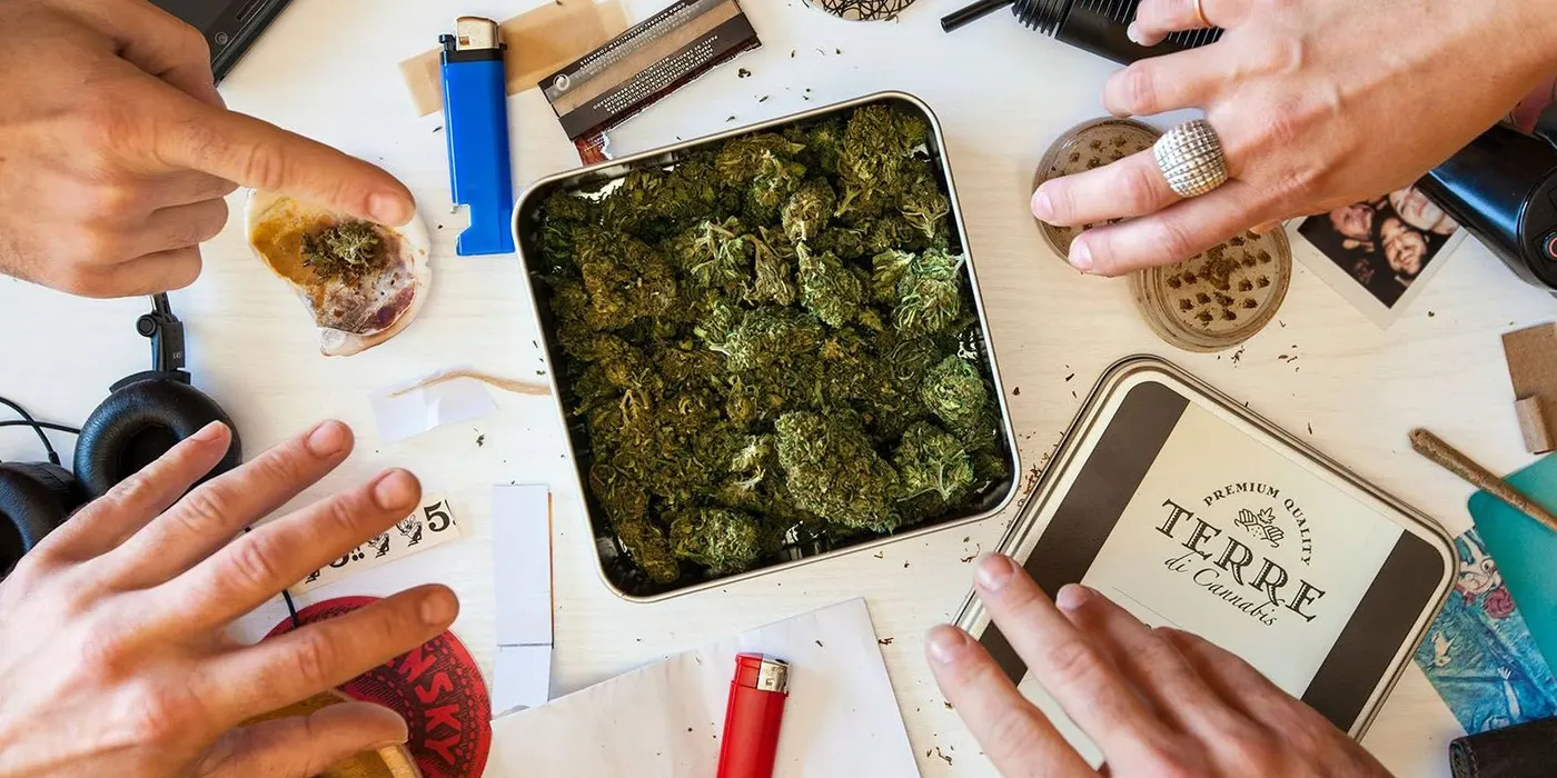 Hands arranging cannabis buds and rolling supplies on a table
